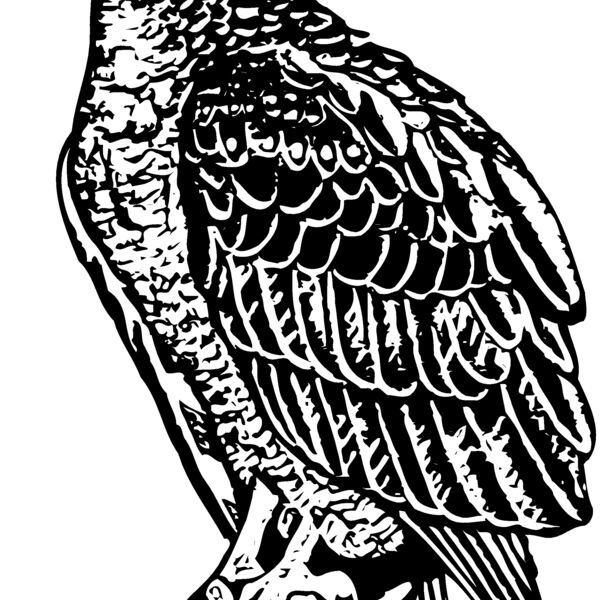 EAGLE019 Thumbnail