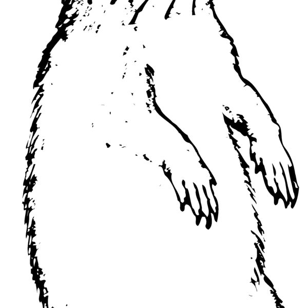 GOPHER01 Thumbnail