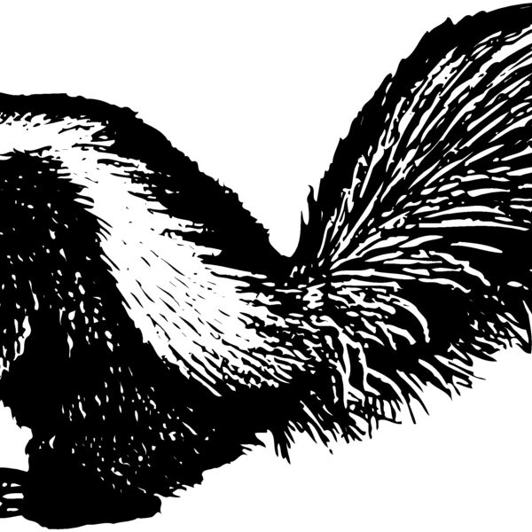 SKUNK002 Thumbnail