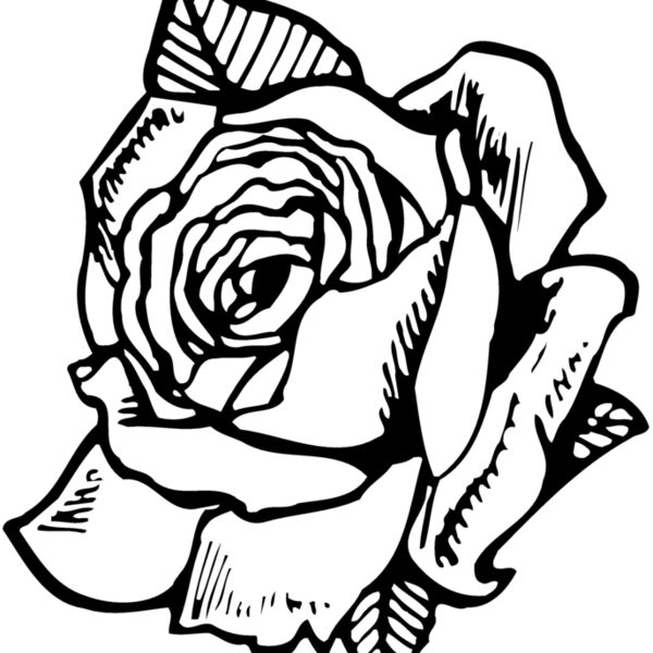 FLOWER03 Thumbnail