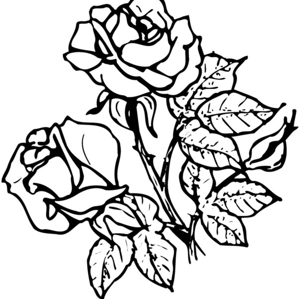 FLOWER21 Thumbnail