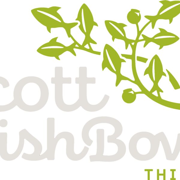 SFB13 OLIVE GARDEN TRANS Thumbnail