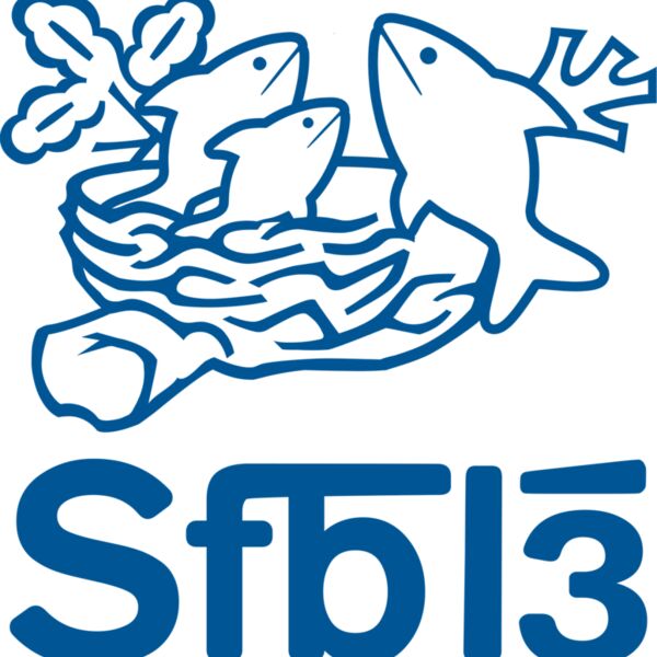 SFB13 NESTLE Thumbnail