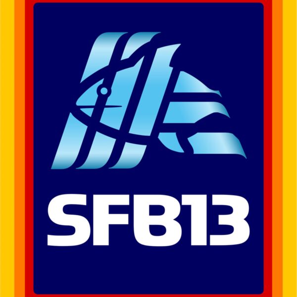 SFB13 ALDI Thumbnail